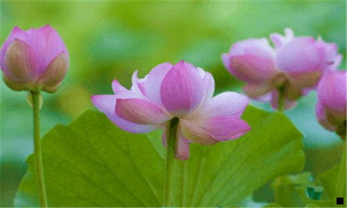 二在校高中生怎么赚钱