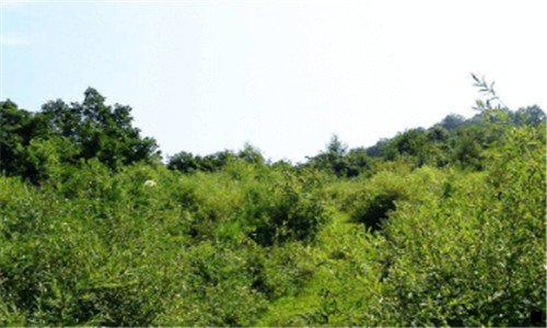 一农村淘宝怎么加盟多少钱
