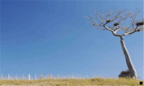 三室内种植什么药材最赚钱