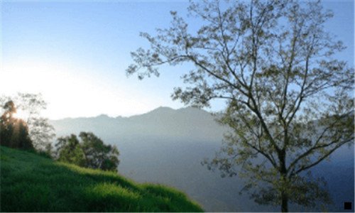 二宁夏做什么生意赚钱