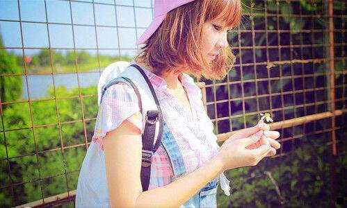 三15年零成本致富商机