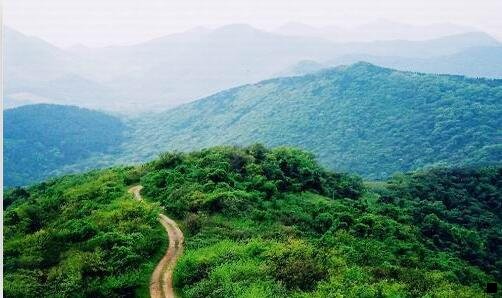 一洛阳什么行业赚钱