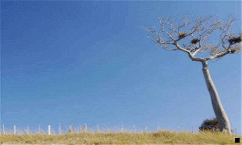 一梦幻西游5开靠什么赚钱