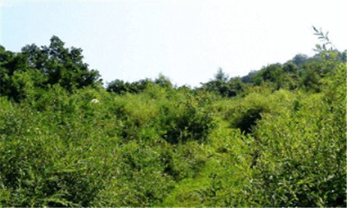 二适合小县城的41个投资