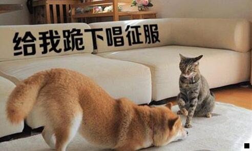 一seo能赚钱吗