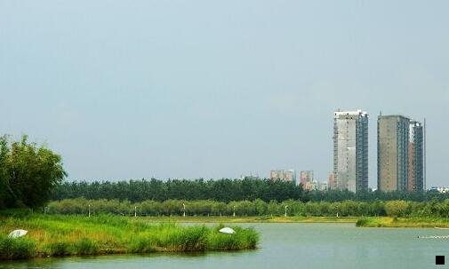 一网站怎么做