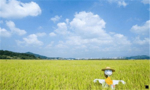 一一台手机就可以在家赚钱是真的吗