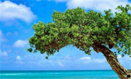 二物流生意好做吗
