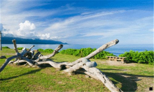 三文科经济学就业前景