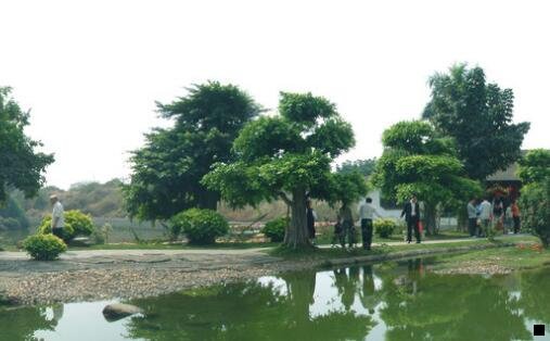 一浴火银河2怎么赚钱